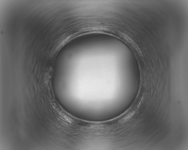 X0000052970985200507300133