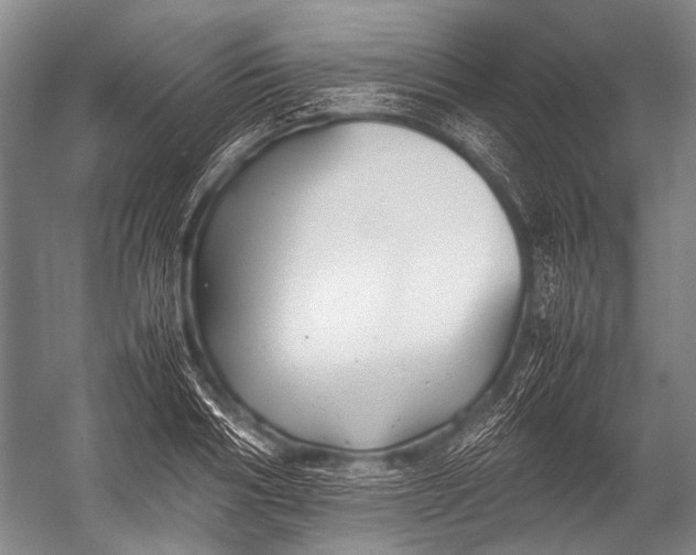 X0000052970986200507300133