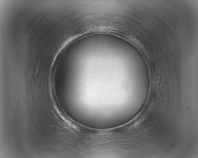 X0000052970989200507300133