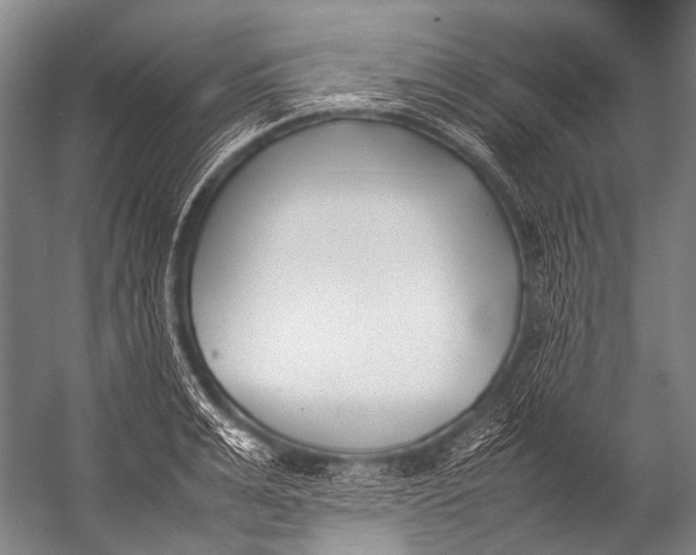 X0000052970991200507300133