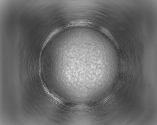 X0000052970994200507300133
