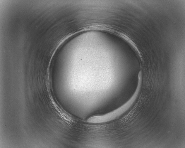 X0000052970996200507300133