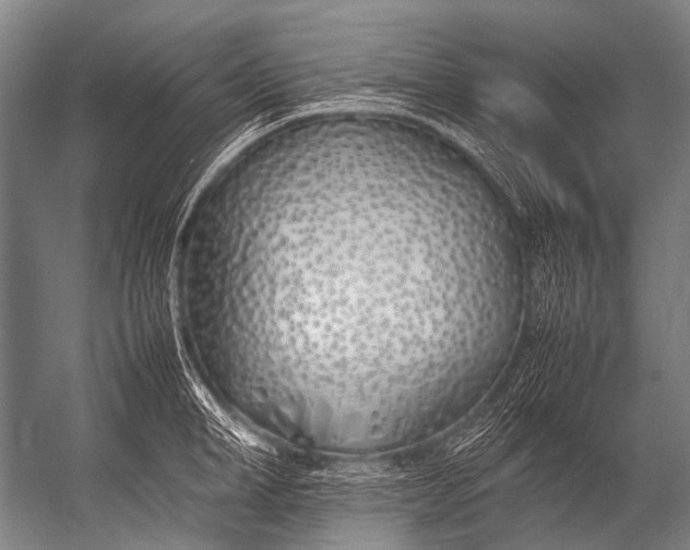 X0000052970998200507300132
