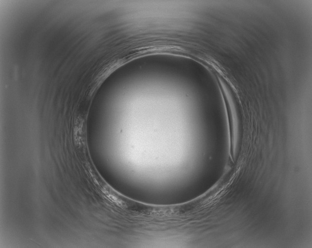 X0000052971001200507300132