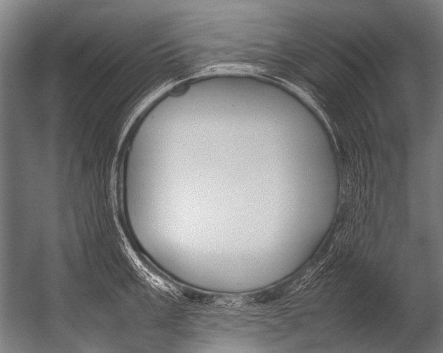X0000052971003200507300132