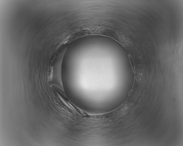 X0000052971010200507300132