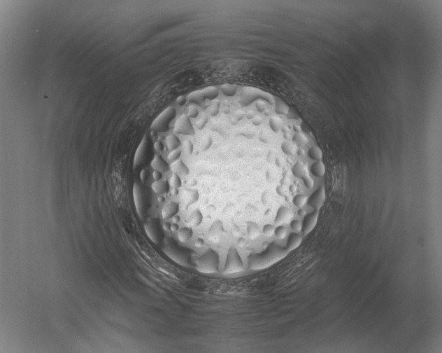 X0000052971011200507300132
