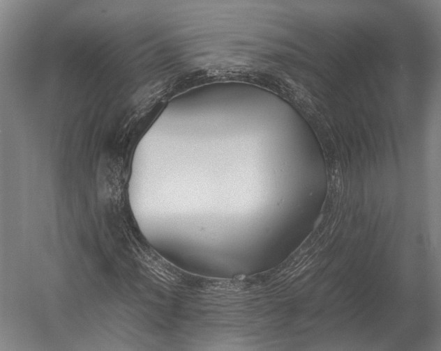 X0000052971012200507300132