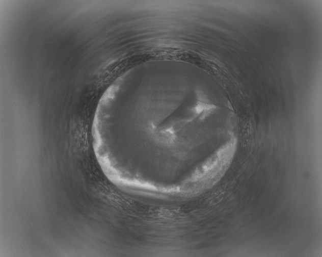 X0000052971013200507300132