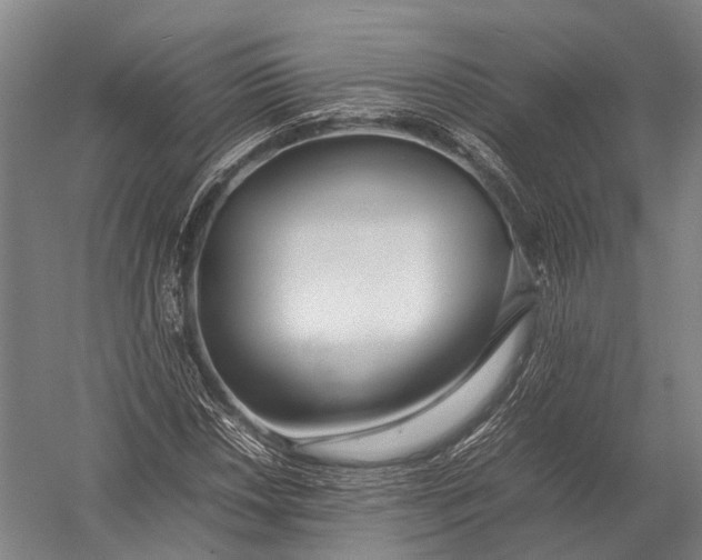 X0000052971018200507300132