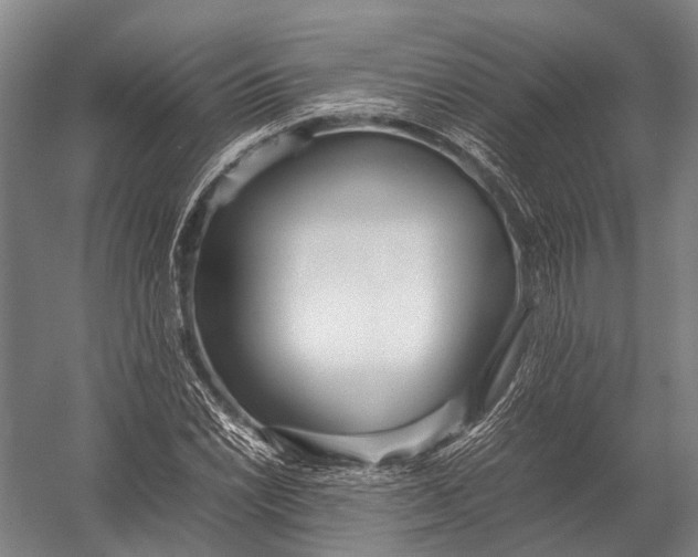 X0000052971022200507300132