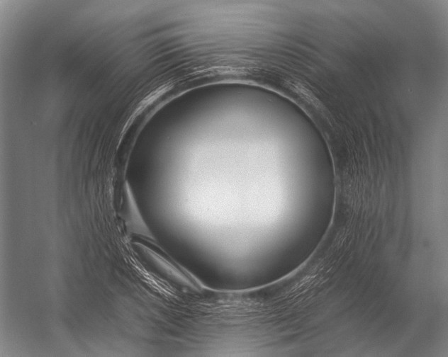 X0000052971026200507300132