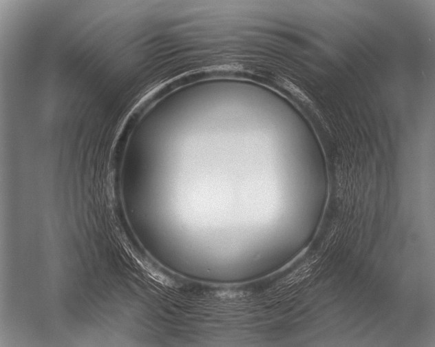 X0000052971029200507300132