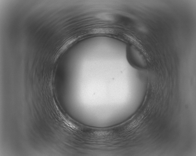 X0000052971033200507300132
