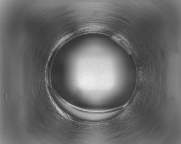 X0000052971034200507300132