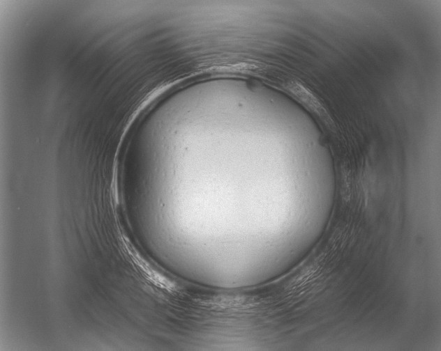 X0000052971036200507300132