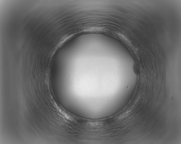 X0000052971041200507300132