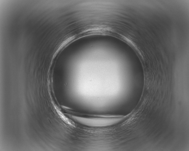 X0000052971042200507300132
