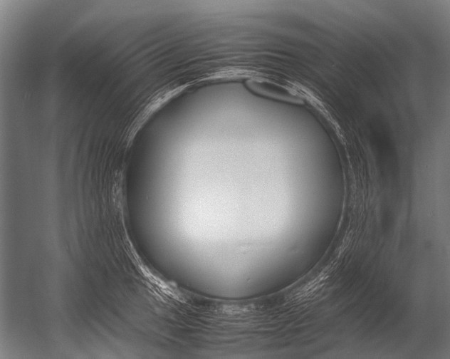 X0000052971049200507300132