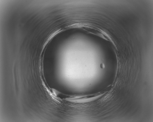 X0000052971050200507300132