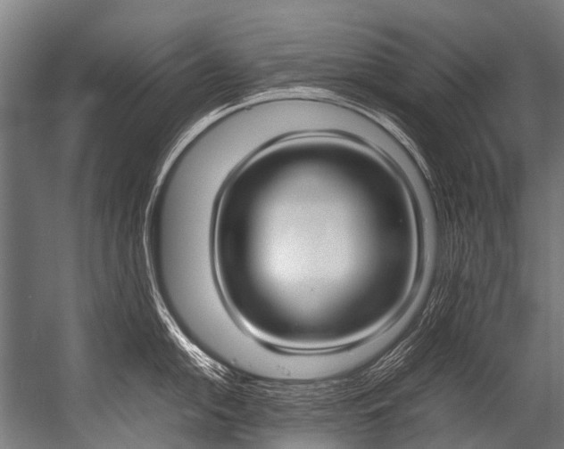 X0000052971054200507300132