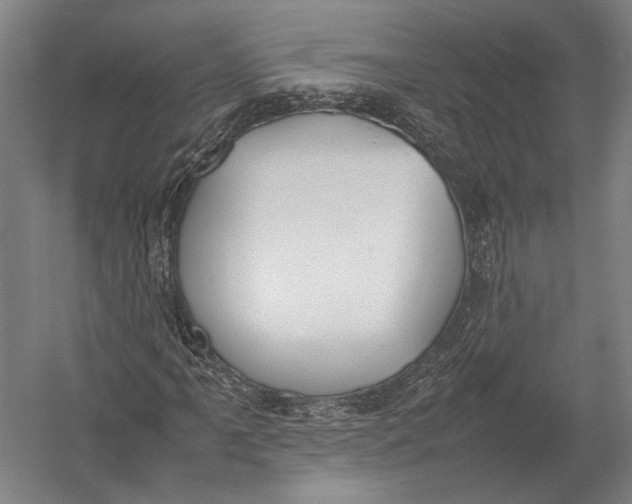 X0000052971061200507300131