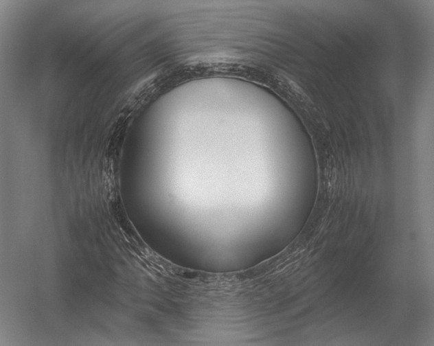 X0000052971062200507300131