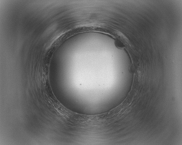 X0000052971064200507300131