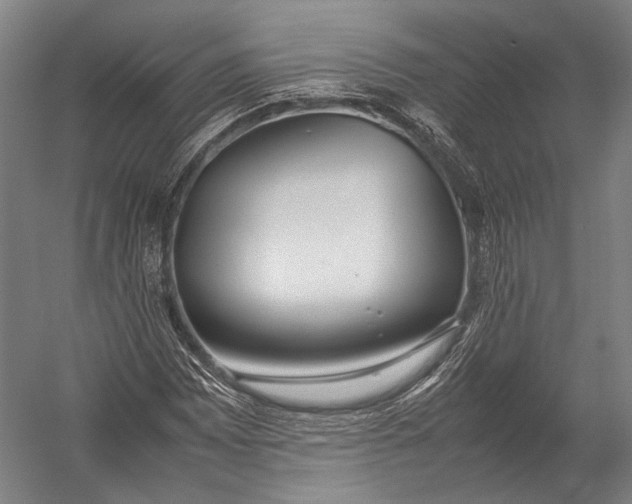 X0000052971065200507300131