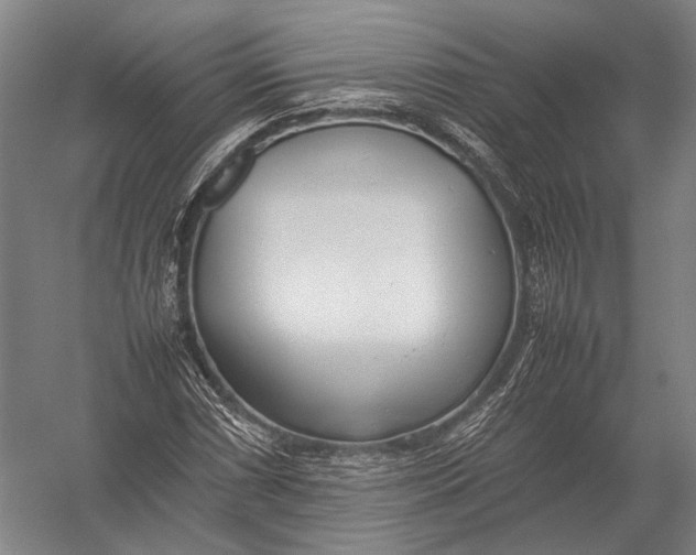 X0000052971066200507300131