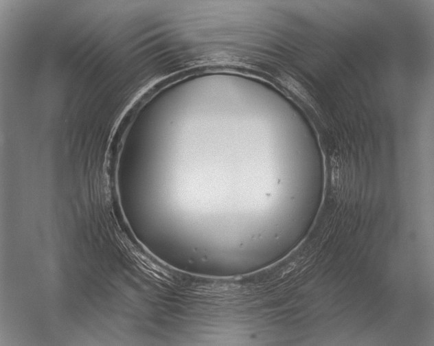 X0000052971068200507300131