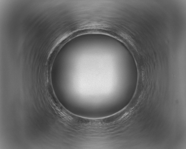 X0000052971069200507300131