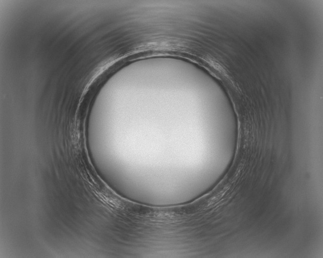 X0000052971070200507300131