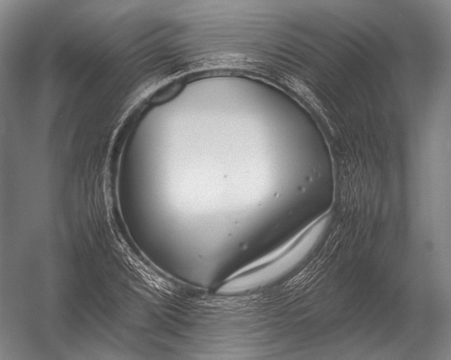 X0000052971072200507300131