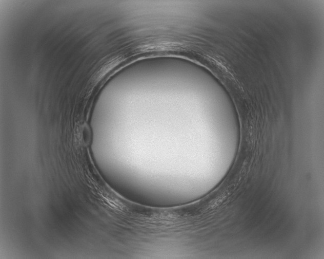 X0000052971073200507300131
