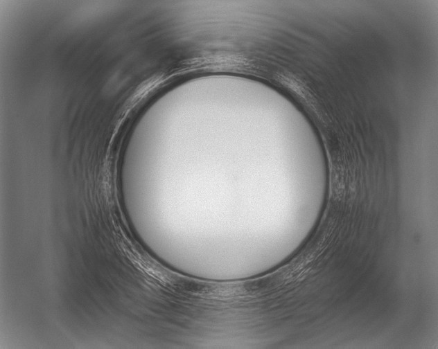 X0000052971074200507300131