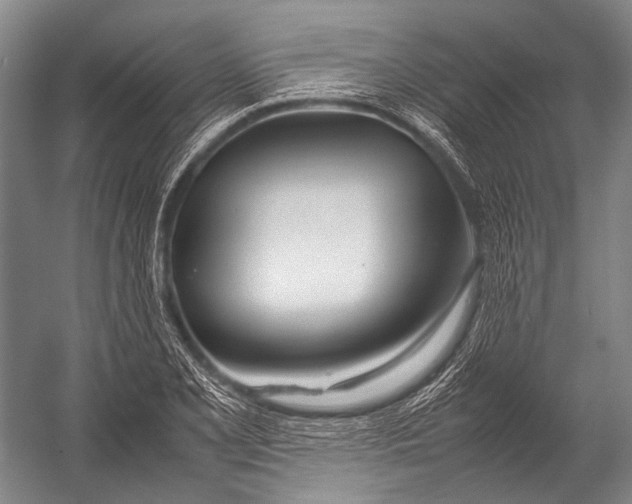 X0000052971077200507300131