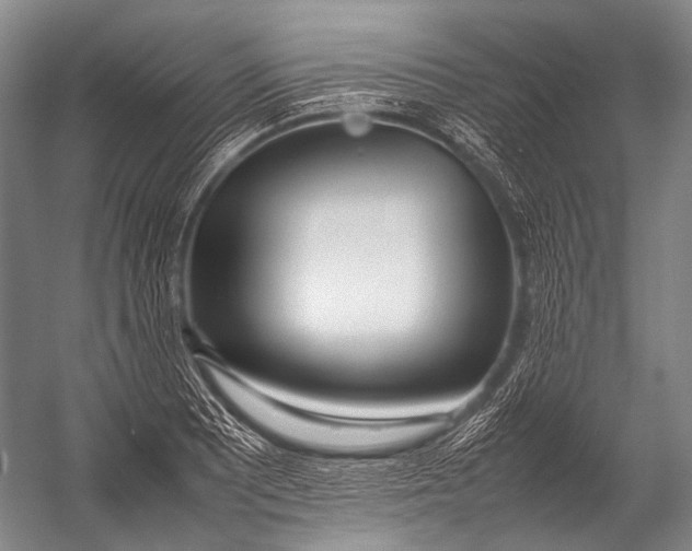X0000052971081200507300131