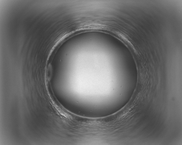 X0000052971085200507300131