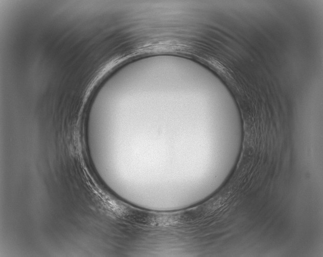 X0000052971086200507300131