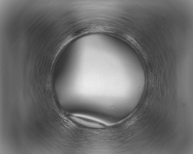 X0000052971089200507300131