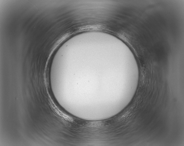 X0000052971090200507300131
