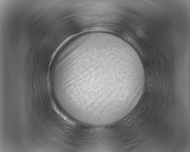 X0000052971092200507300131