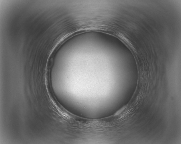 X0000052971093200507300131