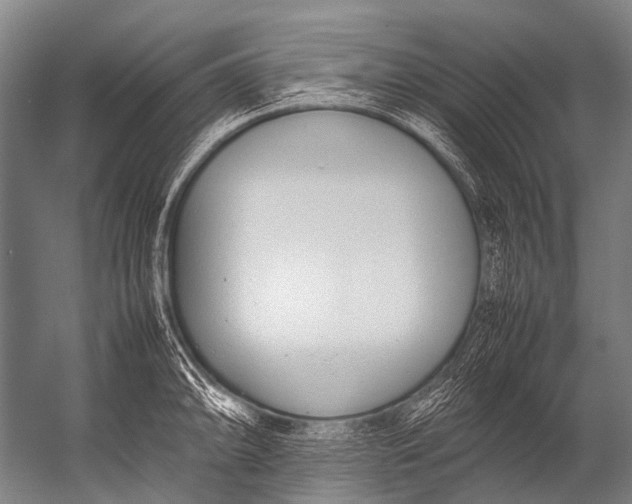 X0000052971094200507300131