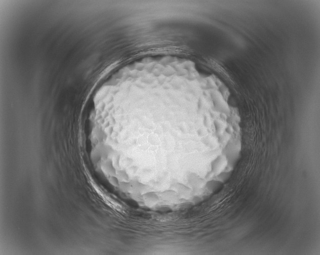 X0000052971095200507300131