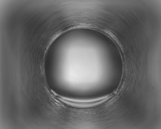 X0000052971097200507300131