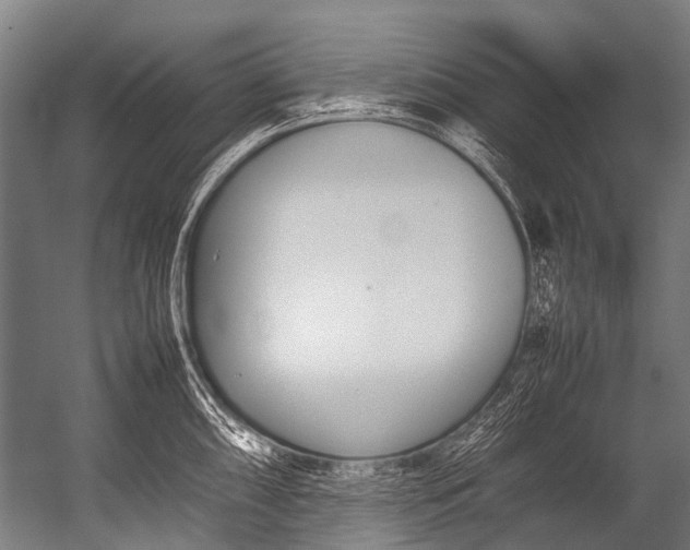 X0000052971098200507300131