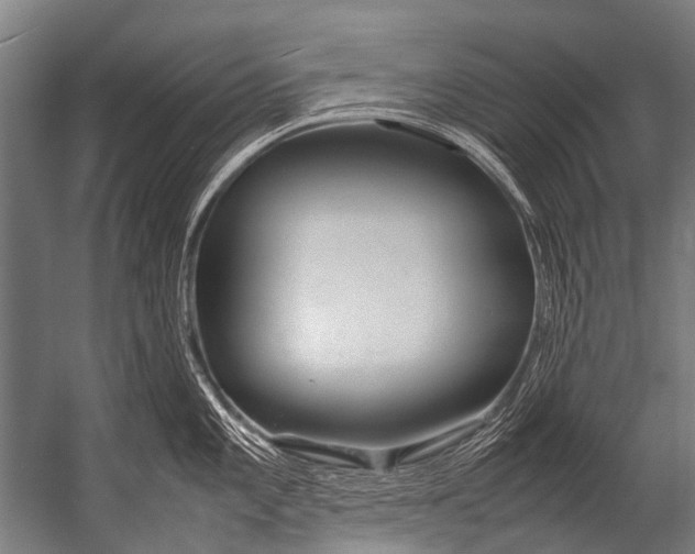 X0000052971101200507300131