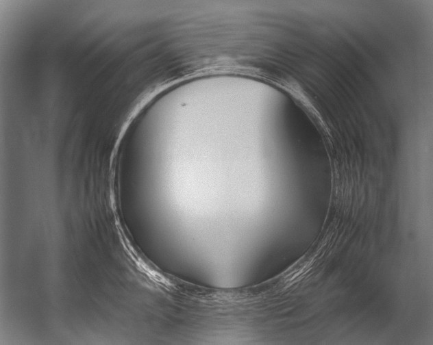 X0000052971102200507300131